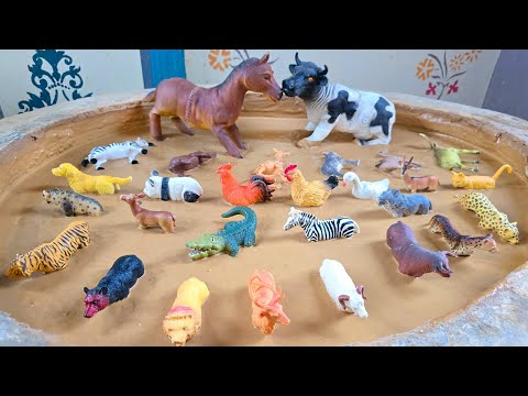 Secrets of the Wild: The Hidden Paths of Forest Animals and Jungle Giants