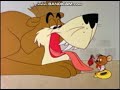 Daffy Vs Lion
