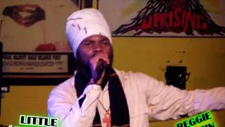 tribute to bob marley    little guerrier by reggie koszin