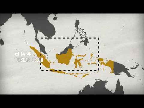 SOS Borneo - Genskab regnskoven