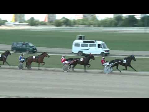 2017.06.04. 1. futam - UTAS DÍJ