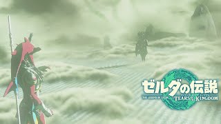 一つの国を救うことができた伝説【＃２７】【ゼルダの伝説 ティアーズ オブ ザ キングダム】