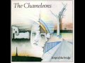 The Chameleons - Monkeyland 