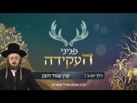 פניני העקידה - יום ב' פרשת וילך