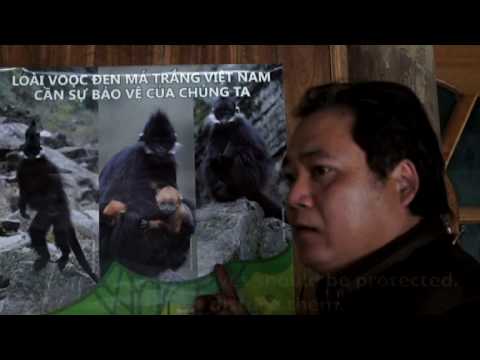 Conserving 80 globally endangered Francois Langur