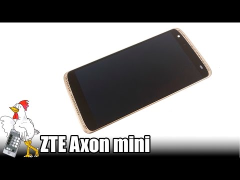 Guía del ZTE Axon mini: Cambiar pantalla completa