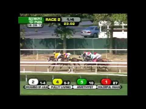 Dreaming of Julia - 2012 The Meadow Star