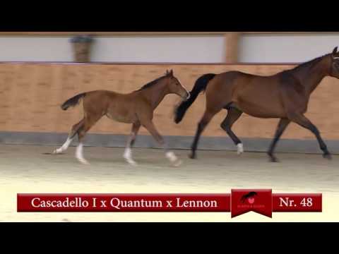 48 Cascadello-Quantum-Lennon