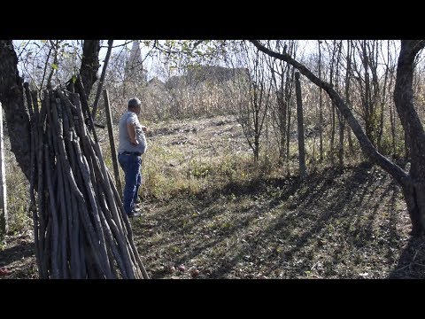 Descoperire macabra la Vermes