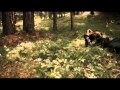 Tazenda Feat. Francesco Renga - Madre Terra - Videoclip Ufficiale