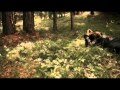 Tazenda Feat Francesco Renga Madre Terra Videoclip Ufficiale