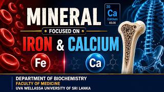 Minerals: Iron & Calcium