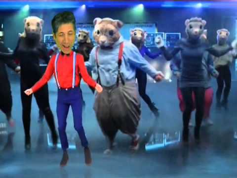 The KIA SOUL HAMSTERS - Hamstar Dance 2015