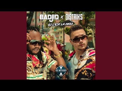 Ici c'est la hass (Extented)