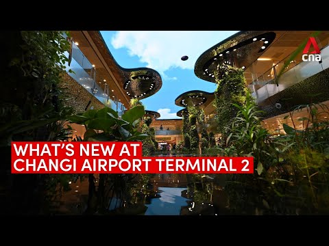Terminal 2 do Aeroporto de Changi reabre totalmente com novo display digital em cascata
