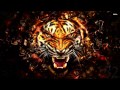 Survivor - Eye Of The Tiger (Remastered, Best Quality)