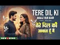 TERI DIL KI AWAAZ HUN MAIN तेरे दिल की आवाज हूँ मैं Song Most 