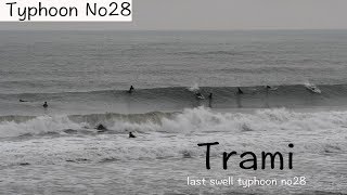 【サーフィン】東浪見に届け！季節外れの台風28号は平成最後のスウェルになったのか？/last swell typhoon no28