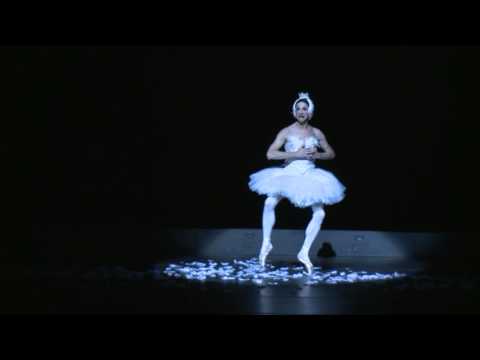 Les Ballets Trockadero de Monte Carlo - The Dying Swan