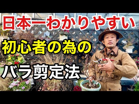 2022年にバラの茂みを剪定する方法