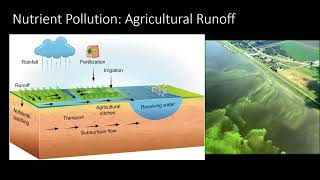 Sources of Water Pollution and BMPs to Reduce Pollution