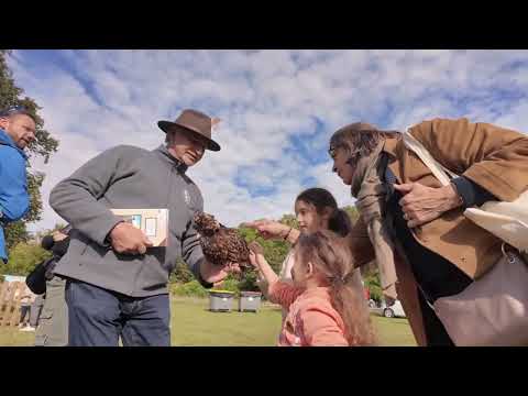 Retour en images sur la 13e édition de l'Animal en Ville !