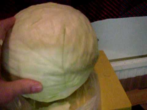 Onse KAALI  vaan niin hyvää