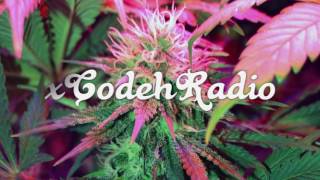 Mick Jenkins - Vibe (Instrumental)