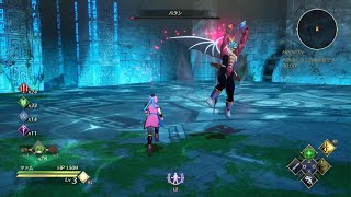 インフィニティ ストラッシュ　ドラゴンクエスト ダイの大冒険　記憶の神殿　ソロ踏破　武闘家マァム　HP吸収会心ビルド