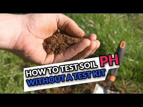 How to Test Soil pH without a Test Kit