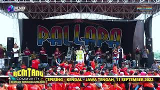 Download lagu Lala Widy | Istri Setia | New Pallapa | Remtang Community 2022 mp3