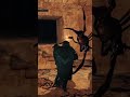 Charlottes Web 2 Help Me Gaming Shorts Darksouls2