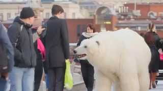 Giant polar bear rides on London Underground