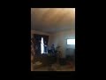 Killing Mayflies-Bottom of the Barrel(Original)