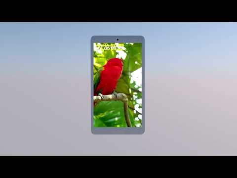 LED Pole Screen Maintenance Demonstration