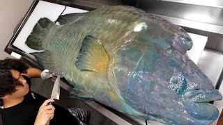 Re: [新聞] 捕獲1.1公尺大龍王鯛比讚拍照 辯"用釣的"