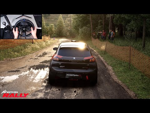 Peugeot 208 Rally4 | Assetto Corsa Rally