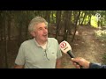 Wandeling Bomenfestival Limburg Imstenraderbos