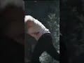 Wolverine WhatsApp Status Shorts Marvel Wolverine Whatsappstatus Whatsappstatustamil Deadpool