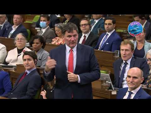 Cost of Living Crisis: Dec 3 Question Period Fireworks