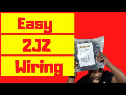 Haltech 2JZ Engine Harness - Easily Wire A 2JZ Engine