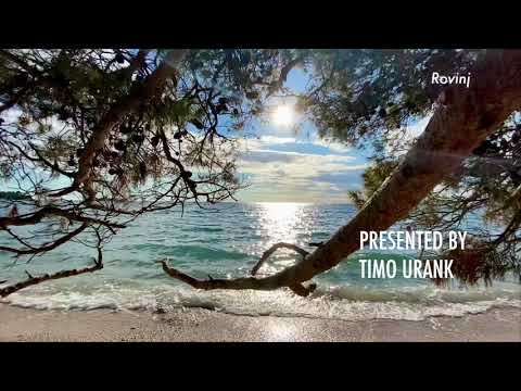 Galeb I Ja (Seagull and I) by Oliver Dragojevič [MYP Personal Project] [REUPLOAD]