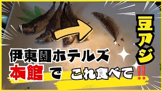 発祥の地・伊東園ホテルズ本館へ‼️初めての伊東温泉をレトロなハンディカムで巡る旅【テロップなし】#伊東園ホテルズ本館 #四毒抜き #平田屋 #笹本菓子舗 #木下杢太郎記念館 #ふじいち #松川館