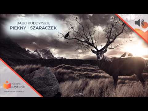 Piękny i szaraczek (bajki buddyjskie)