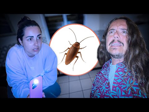 la Polinesia è un po' diversa da come te l'aspetti...