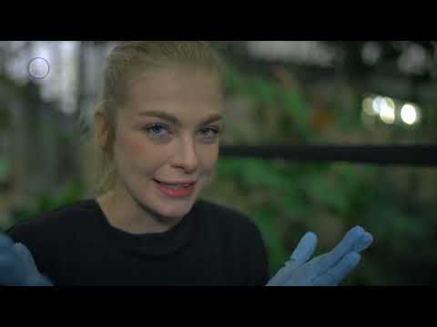 Multiverzum: Új élet