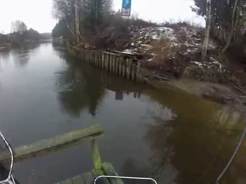 Salmon, november 2014.  Korkeakoski, river Kymi