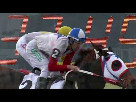 220731 c01 E Vargas/ LADY ZIP