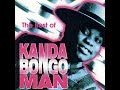Kanda Bongo Man Tika Kolela