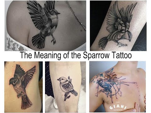 Sparrow Tattoo Meaning How To Discuss